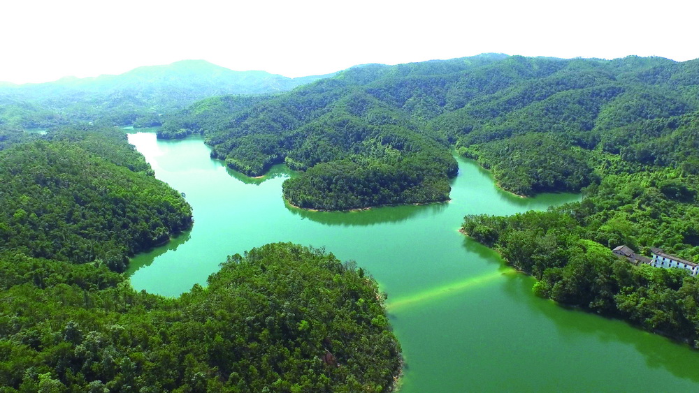 7.1 罗定金银湖国家湿地公园.jpg