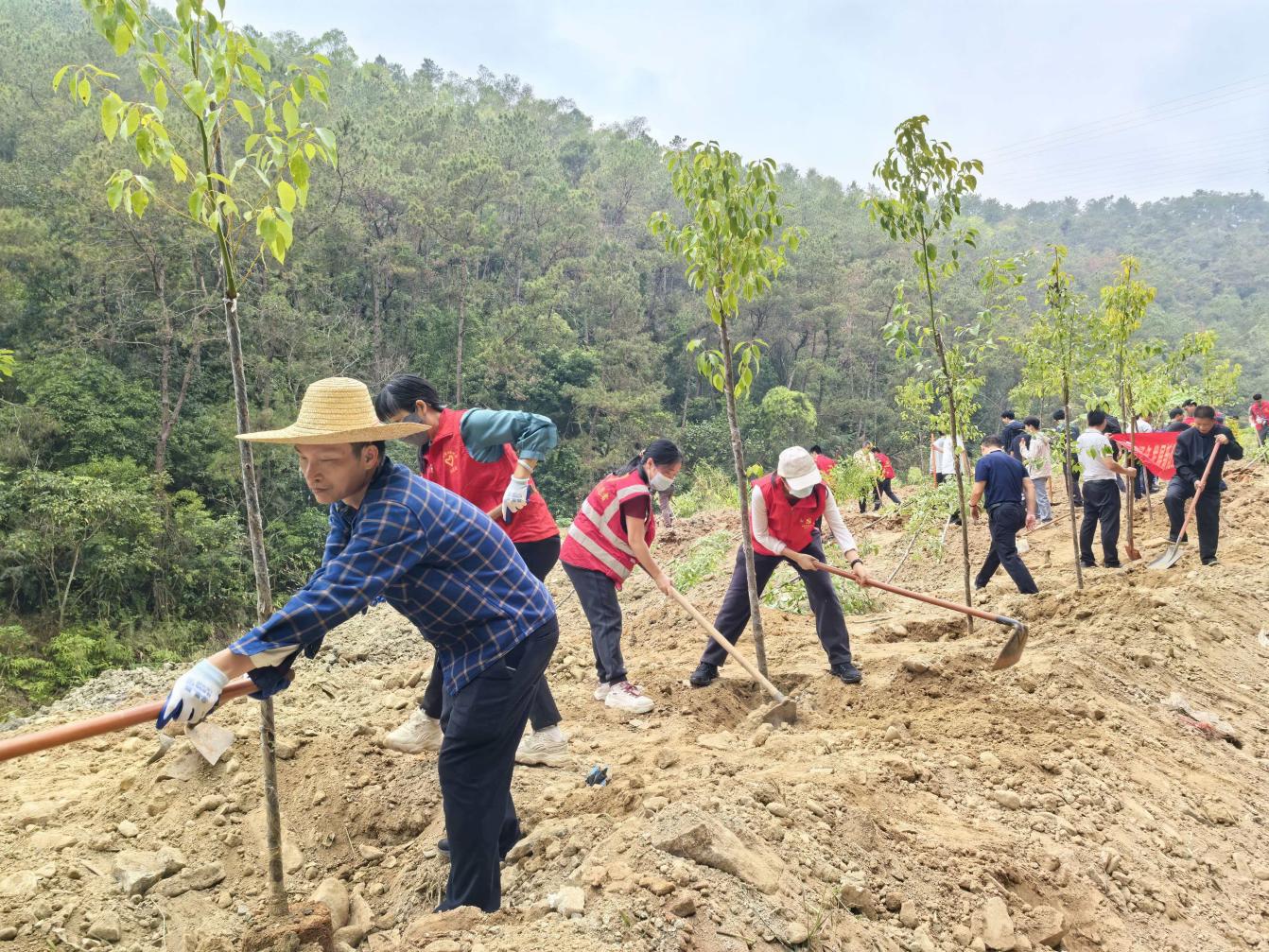 罗定市农业农村局开展2026年全市推进绿美罗定生态建设义务植树示范活动.docx_2