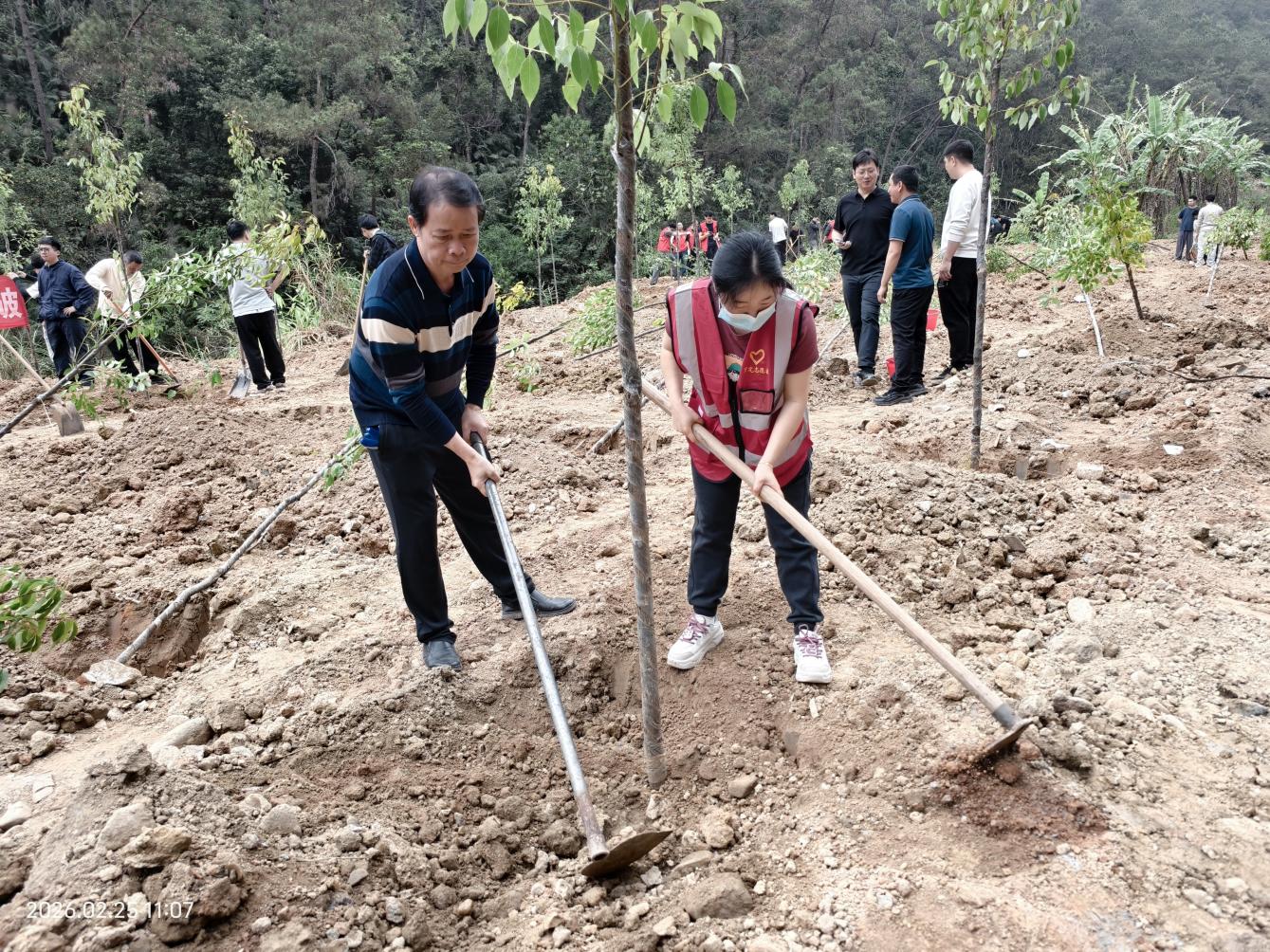 罗定市农业农村局开展2026年全市推进绿美罗定生态建设义务植树示范活动.docx_3