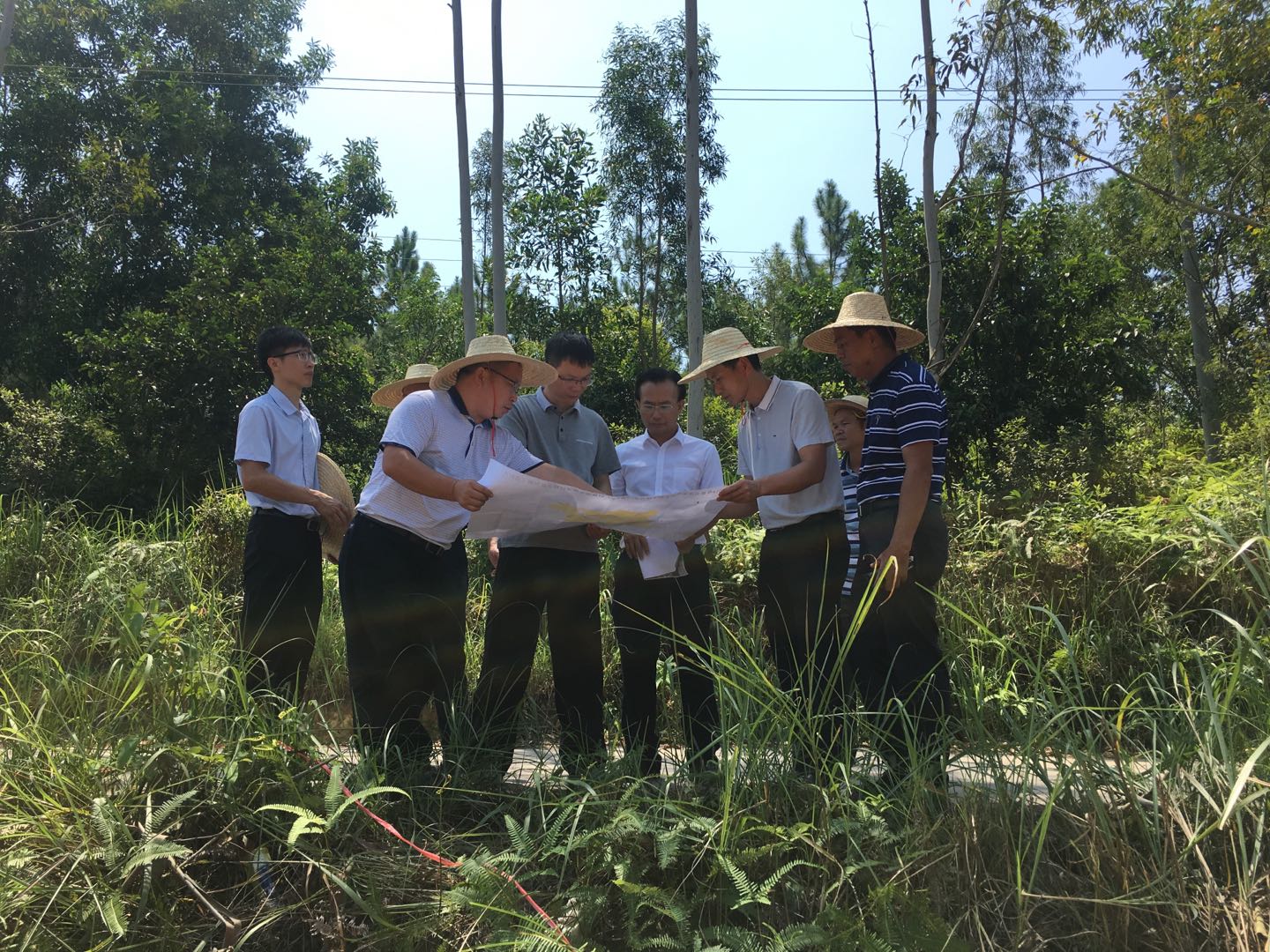 市委副书记,市长罗永雄率队到船步镇调研