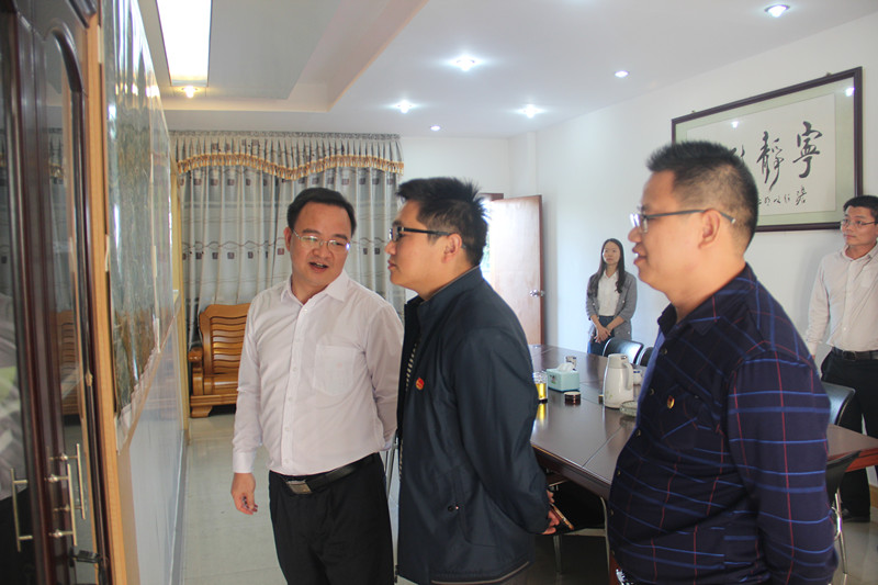 团云浮市委书记廖政望到素龙调研指导