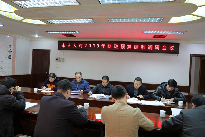 市人大到罗定市财政局调研2019年财政预算编制情况