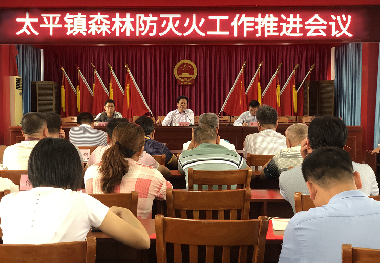 李建业到太平镇召开森林防灭火工作推进会议-罗定市人民政府门户网站