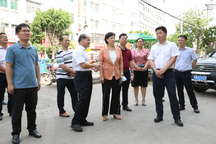 云浮市民政局局长杨东凯到素龙街道调研