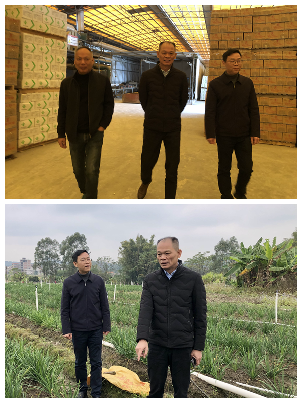 罗定市副市长唐民应到围底镇检查指导工作