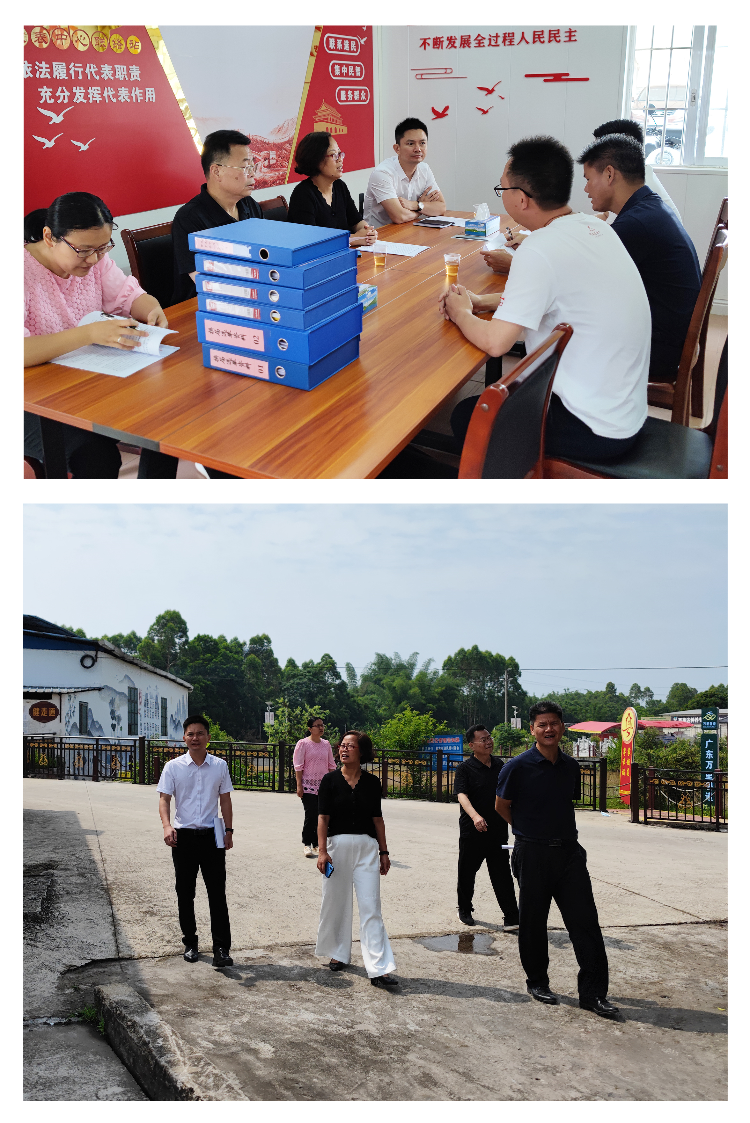 罗定市人大常委会到素龙街道督导检查人大工作