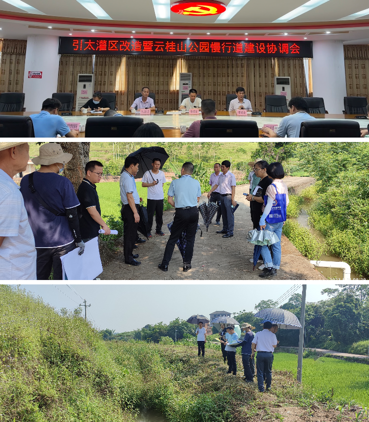 蔡成家率调研组到素龙街道开展引太灌区改造暨云桂山