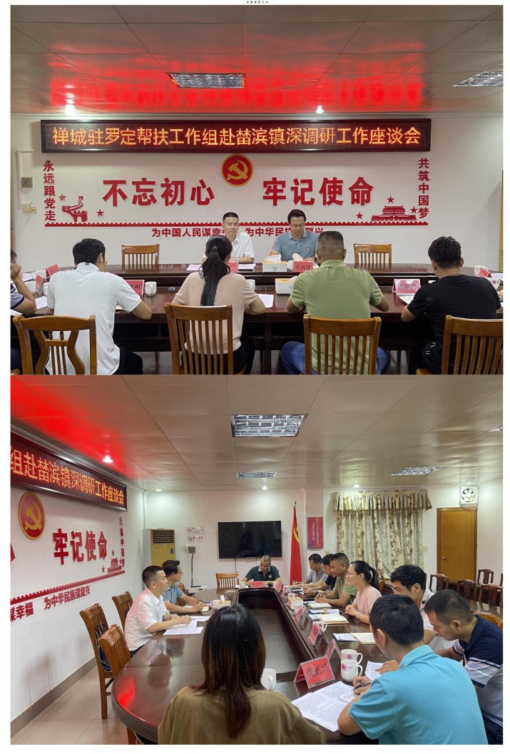 佛山市禅城区驻罗定帮扶工作组到榃滨镇召开深调研工作座谈会