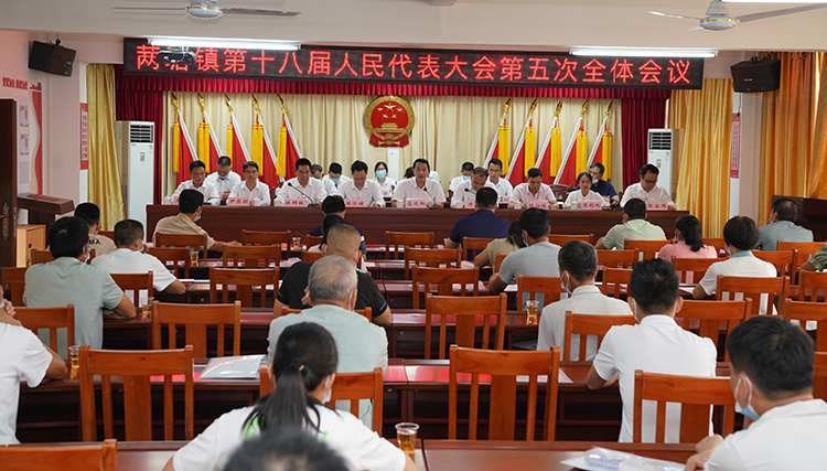 罗定市31塘镇第十八届人民代表大会第五次会议召开