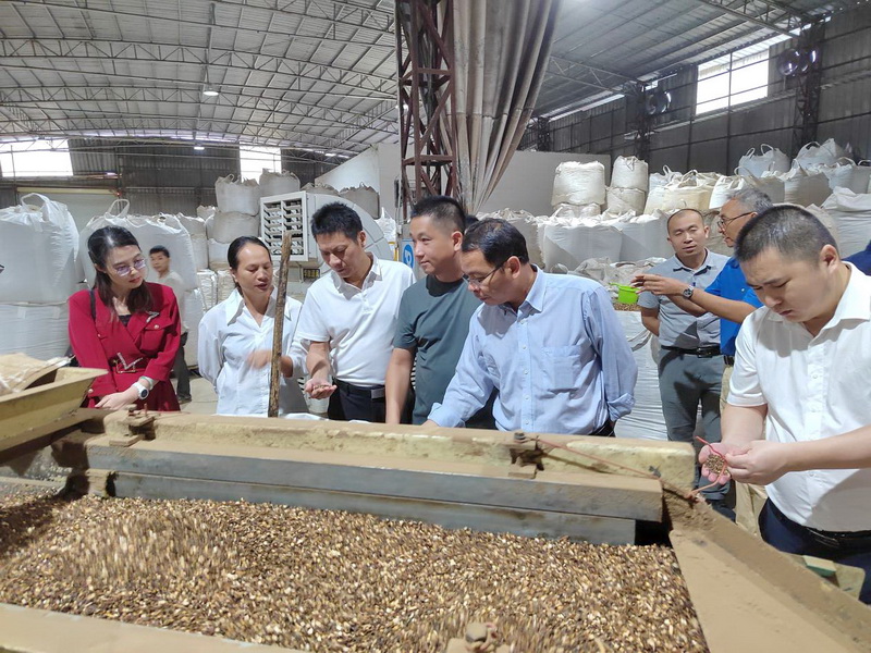 广东省药品监督管理局到l罗定市开展药品综合改革创新项目实施进展