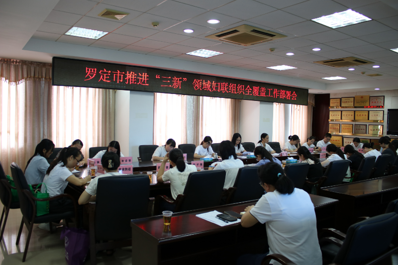 (选1）罗定市推进“三新”领域妇联组织全覆盖工作部署会.JPG