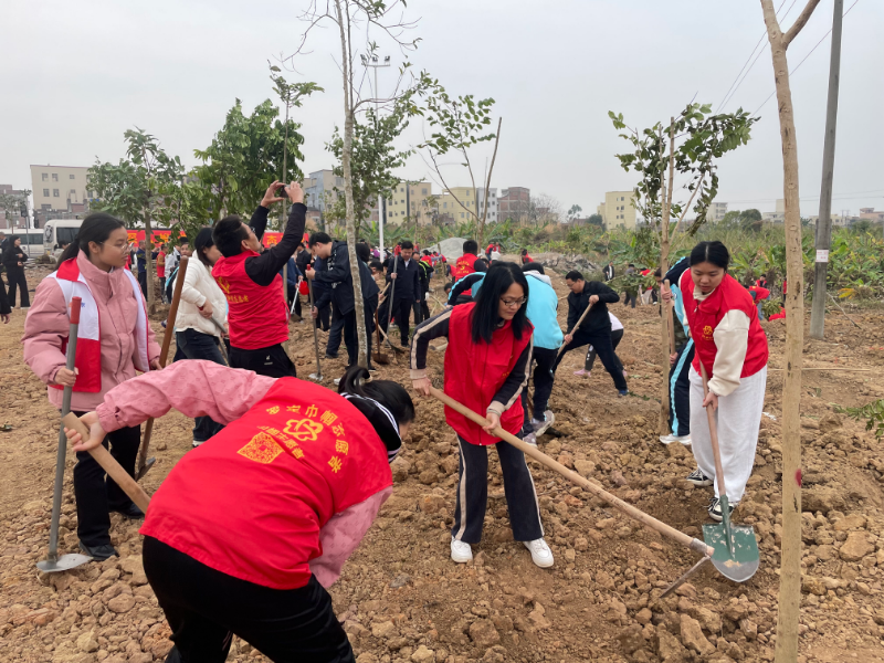 素龙种树1.JPG