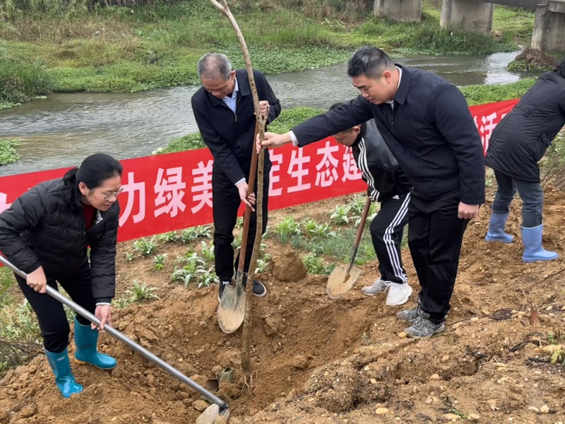 已编辑图片