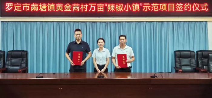 粤来粤好百千万｜罗定市𬜯塘镇乡村振兴人才驿站：聚“椒”引才，共筑产业新高地.wps_1