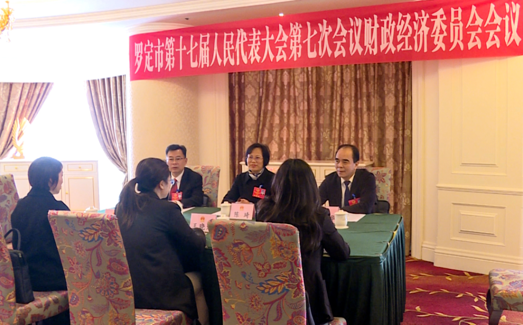 罗定市第十七届人民代表大会第七次会议召开议案审查委员会会议和财政经济委员会会议02.png