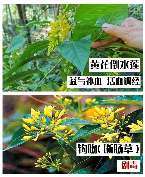 微信图片_2026-05-06_105740_269.png