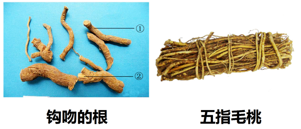 微信图片_2026-05-06_105809_028.png