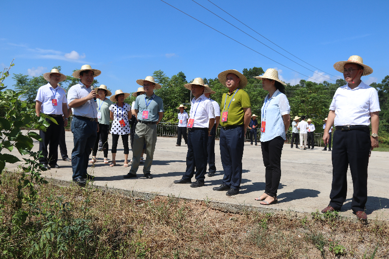 华石镇人大组织开展"更好发挥人大代表作用"主题活动-罗定市人民政府