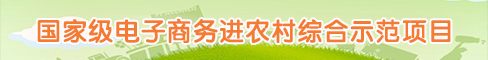 罗定市国家级电子商务进农村综合示范项目工作专栏