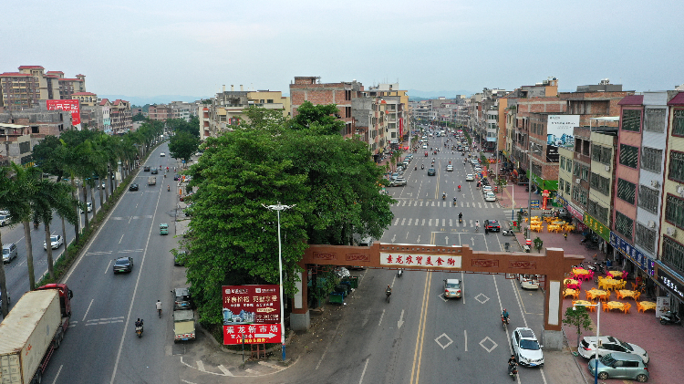 素龙街道位于罗定市中部,呈半月形环抱城区,是罗定市城区扩容提质的主