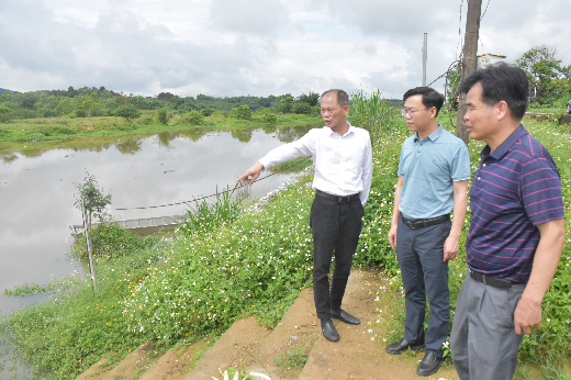 唐民应先后到围底镇渡头村委,围底河岸,高速出口宣传服务点实地走访